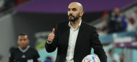 Morocco team manager Walid Regragui. / Ph. DR