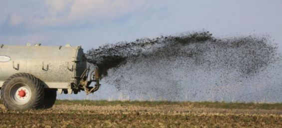 Algeria donates fertilizer to Kenya in bid to rival Morocco's influence