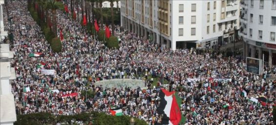 War in Gaza : The astonishing difference in mobilization between Algeria and Morocco