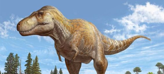 Moroccan fossils rewrite history : Dinosaurs thrived, not faded, before end