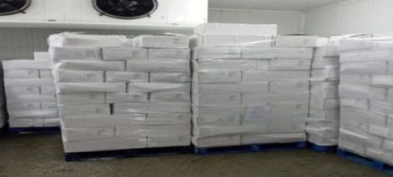 Tangier-Med port busts 3.255 tons of chira in massive smuggling operation