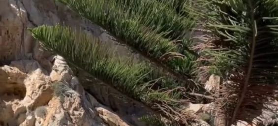 Morocco demolishes unauthorized structures near the coast in M'diq-Fnideq