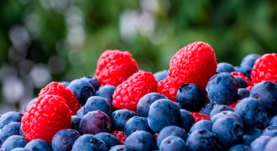 Moroccan berry exports show revenue boost in 2023 despite volume decline