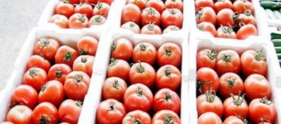Spainish farmers seek role in inspecting Moroccan imports