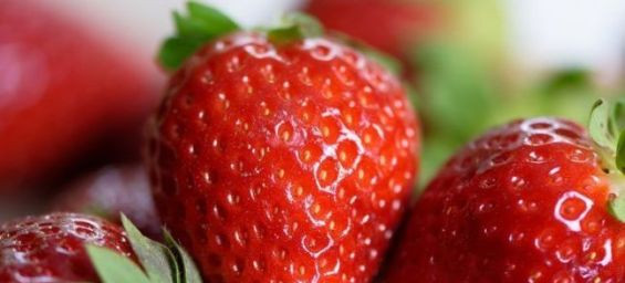 Spanish farmers renew protests over Moroccan strawberries, allege presence of Hepatitis A