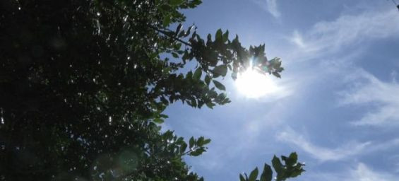 Heat wave warning : Morocco braces for highs of 41°C this weekend