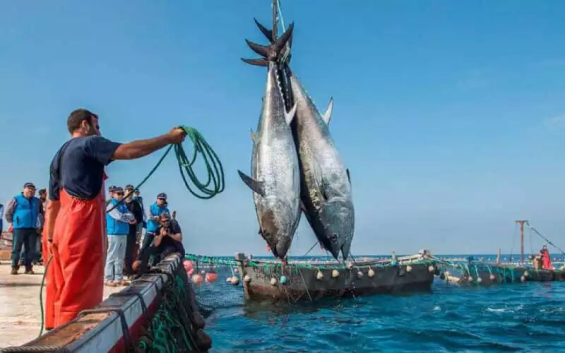 CJEU Advocate concludes EU-Morocco fisheries agreement should be annulled