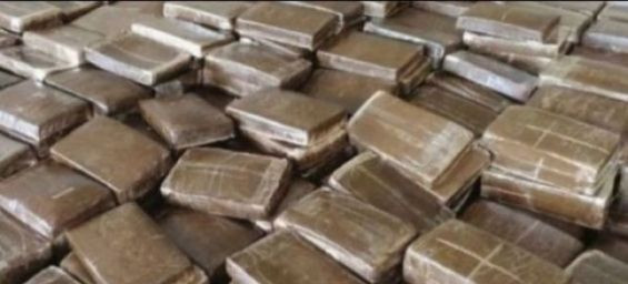 Morocco thwart major drug operation, seize over 10 tons of chira