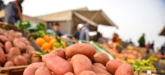 Morocco vegetable exports surge to US$1.6 billion in 2023