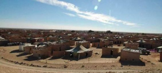 الصحراء في وثائق المخابرات الأمريكية #3: تخوف أمريكي من هجوم مفاجئ للمغرب على مخيمات تندوف 