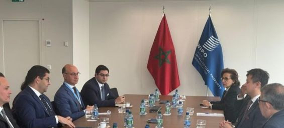DG de l’OMPI : La propriété intellectuelle soutient tous les aspects de la vie au Maroc, dont le zellige