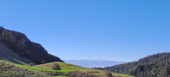 Itzer Trail returns for sixth edition, celebrating sports, solidarity, and Amazigh culture