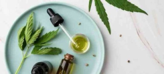 Morocco's cannabis regulation agency granted 2,905 cultivation licenses in 2024
