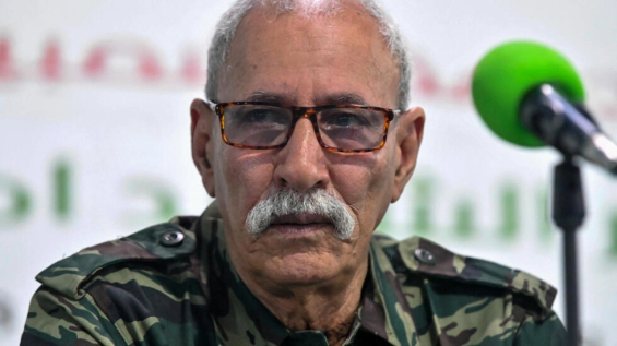 Sahrawis seek ceasefire, Polisario vows continued fight