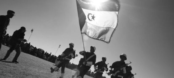 الصحراء في وثائق المخابرات الأمريكية #7: عندما تخوفت البوليساريو من تخلي الجزائر عنها