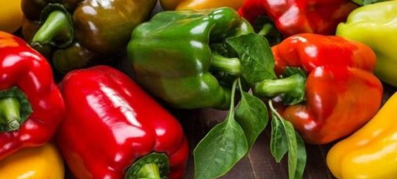 EU Food Safety flags Moroccan peppers amid farmer tensions