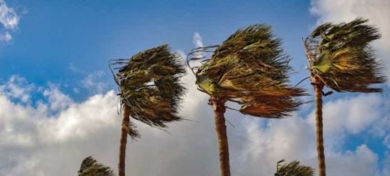 Wind gusts up to 90 km/h expected in Morocco this weekend