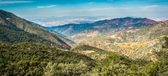 GCA joins €171M project to boost climate resilience and jobs in Morocco's forests