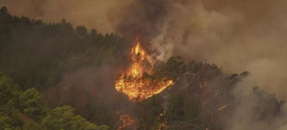 Spain and Morocco renew commitment to joint firefighting efforts