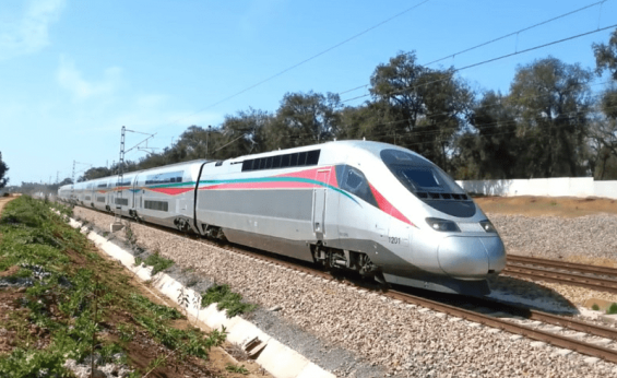 Morocco's high-speed train cited by U.S. Congressman in California rail critique