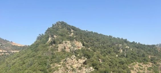 Honoring 12,000 young Moroccans : Builders of the 1957 the Al Wahda Road