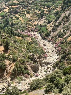 Honoring 12,000 young Moroccans : Builders of the 1957 the Al Wahda Road