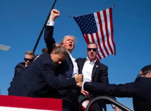 Donald Trump, blessé à l’oreille droite, après la tentative d’assassinat / DR