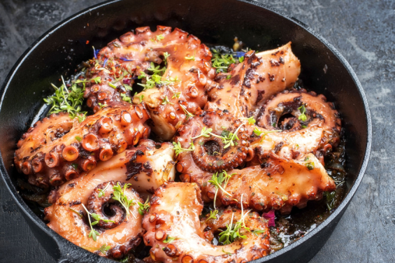 Polisario supporters in Spain decry imports of octopus from Dakhla