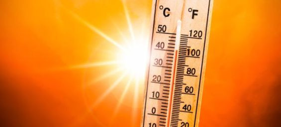 Heatwave in Morocco : Up to 48 degrees from Monday to Wednesday