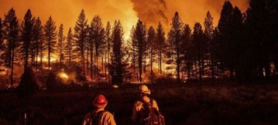 Morocco releases updated forest fire threat map