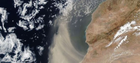 Dust Pours Off the Moroccan Coast on August 24, 2024. / Ph. Suomi NPP — VIIRS