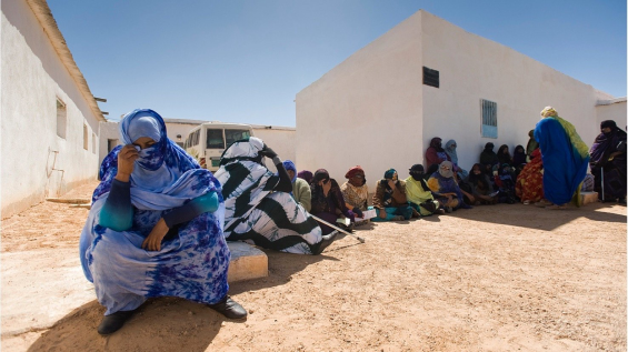 Spain finances Algeria's «humanitarian actions» in the Tindouf camps