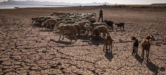 Drought in Morocco. / Ph. Fadel Senna / AFP 