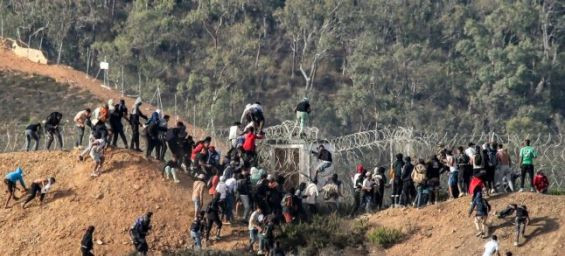 Migrants attempt to cross the land border with Ceuta, near Fnideq, in northern Morocco, on September 15, 2024. / Ph. AFP