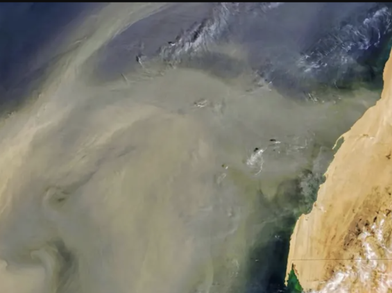 Wind-blown dust from the Sahara. / Ph. DR