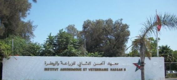 Morocco agronomic and veterinary school addresses water scarcity with new course
