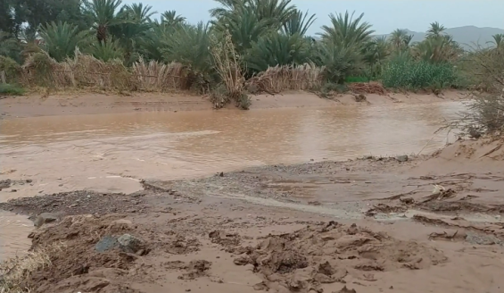 Morocco allocates 2.5 billion dirhams for flood recovery efforts