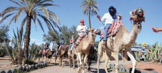 Morocco sees 16% surge in tourist arrivals by August 2024