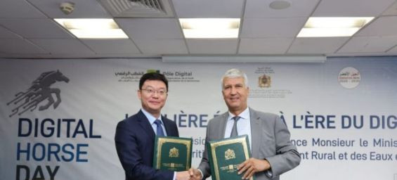 Morocco's Agriculture Ministry, Huawei team up for digital transformation