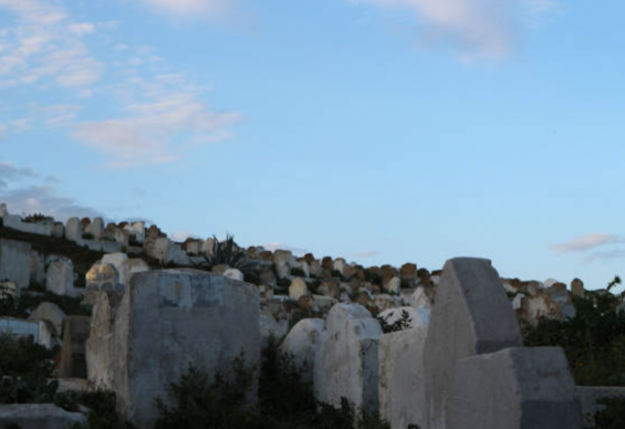 Moroccan horror stories #1 : The cursed mule of the cemeteries, Atlas villages' nightly terror