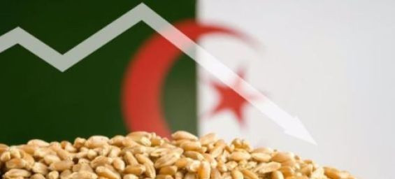 Algeria sanctions France over support for Morocco's Sahara sovereignty
