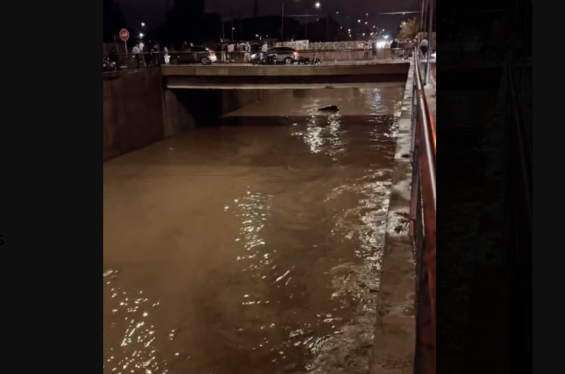 Flooding in Marrakech on Sunday, October 13. / Ph. DR