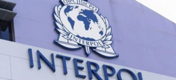 Morocco participates in global anti-terrorism sweep, 66 arrested