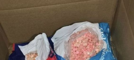 Police bust ecstasy smuggling at Tanger Med, 209,000 pills hidden in cat food