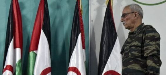 Polisario Front condemns Macron's endorsement of Moroccan sovereignty over Sahara