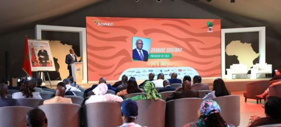 Inauguration of the Grand Pris d'Afrique, held by SOREC in Marrakech. / Ph. SOREC- Facebook