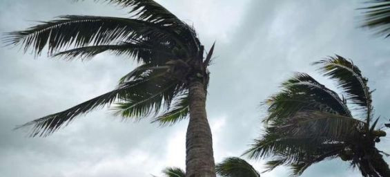 Strong wind gusts and dust storms expected Thursday in Morocco