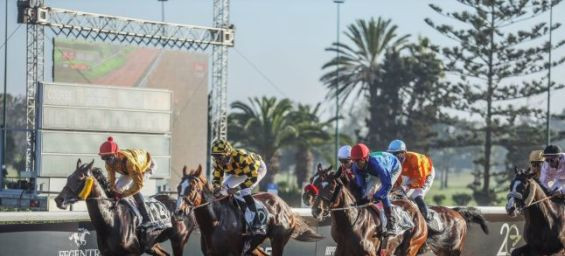 Moroccan jockeys dominate at the 10th Morocco International Meeting