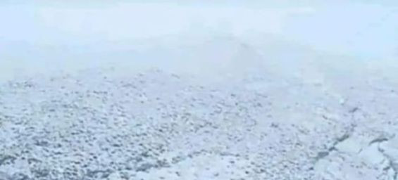 Moroccan-German couple rescued from snow-covered Azilal mountains