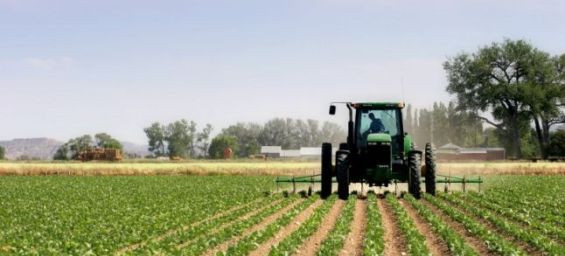 USA launches first-ever agribusiness trade mission to Morocco